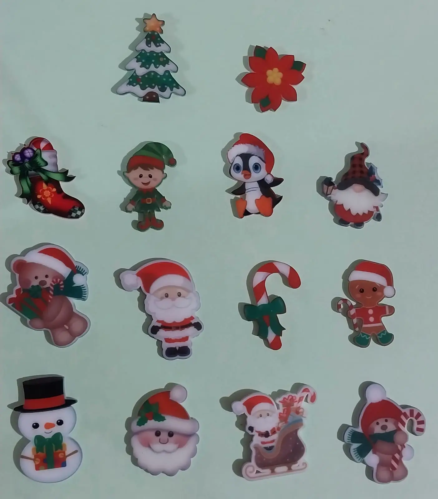 Interior de la tienda con productos organizados